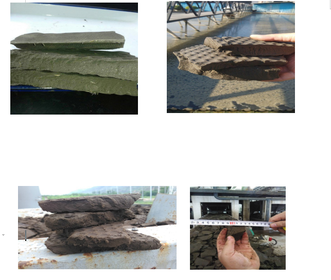 微信截圖_20220324160127