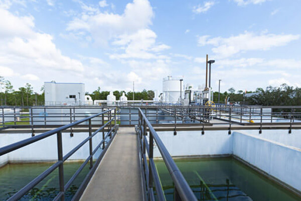 研發(fā)創(chuàng)新力